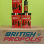 British Propolis Solusi Alternatif Hidup Sehat
