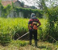 Jasa Potong Rumput