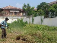 Jasa Potong Rumput